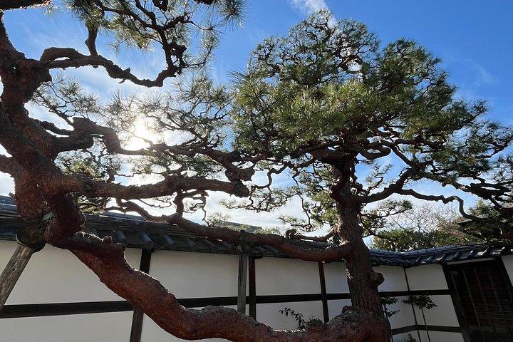 京都プライベートカスタムツアー（現地ガイド付き）：3時間、6時間、または8時間