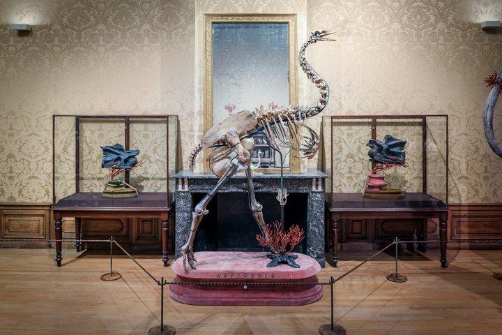Billetter til Art Zoo Museum Amsterdam