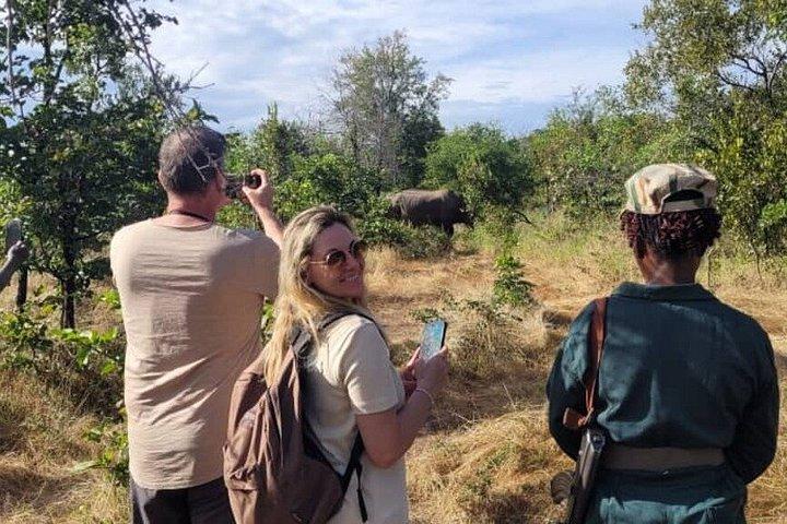 ビクトリアフォールズ近郊、リヴィングストンのホワイトライノ追跡サファリ