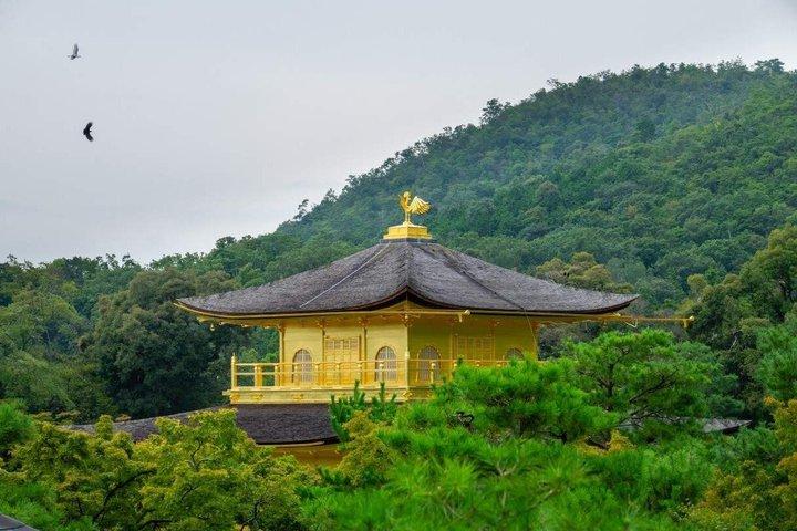 お寺と抹茶体験で京都と宇治の世界遺産