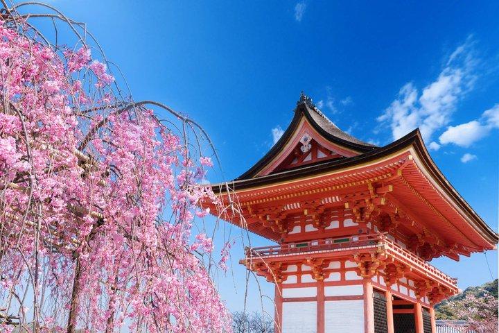 お寺と抹茶体験で京都と宇治の世界遺産