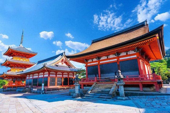 お寺と抹茶体験で京都と宇治の世界遺産