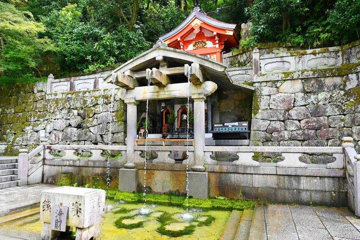 お寺と抹茶体験で京都と宇治の世界遺産