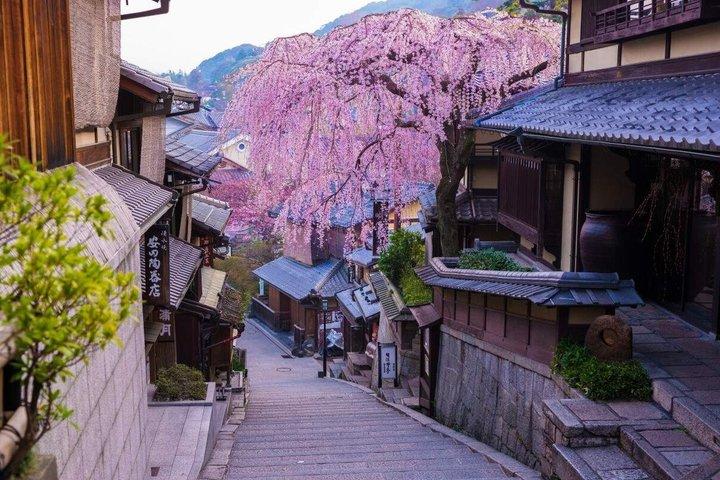 お寺と抹茶体験で京都と宇治の世界遺産
