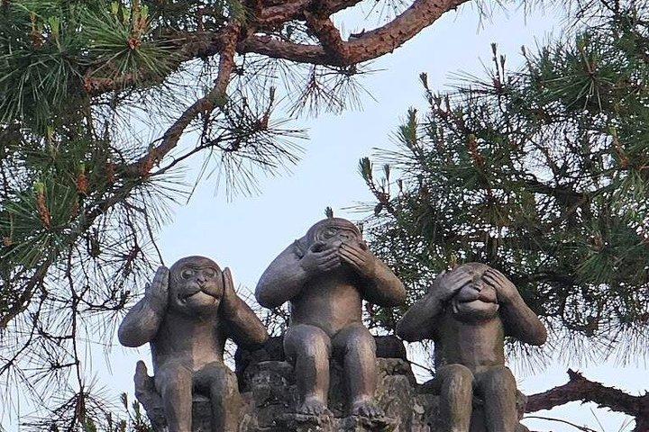 お寺と抹茶体験で京都と宇治の世界遺産