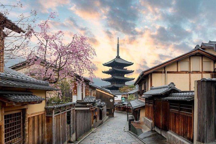 お寺と抹茶体験で京都と宇治の世界遺産