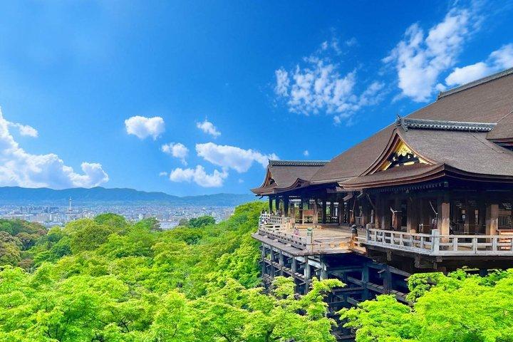 お寺と抹茶体験で京都と宇治の世界遺産