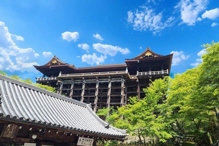 お寺と抹茶体験で京都と宇治の世界遺産