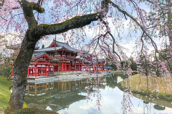 お寺と抹茶体験で京都と宇治の世界遺産