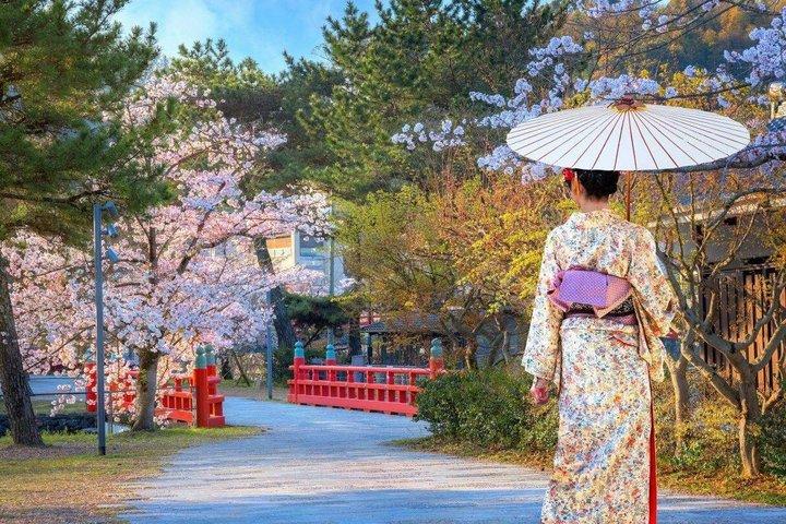 お寺と抹茶体験で京都と宇治の世界遺産