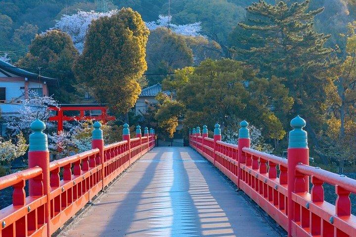 お寺と抹茶体験で京都と宇治の世界遺産
