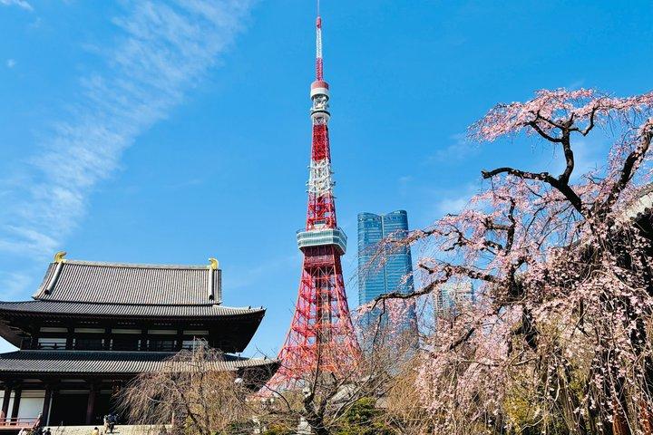 Tokyo Private Custom Tour by Car & Guide: Tsukiji, Asakusa & More