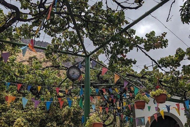 グラン・カナリア：アガエテコーヒー農園、ワイン試飲＆ガーデンツアー