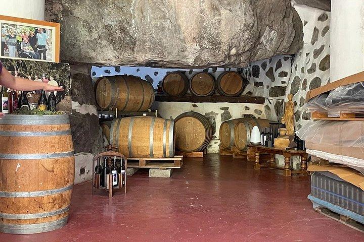 グラン・カナリア：アガエテコーヒー農園、ワイン試飲＆ガーデンツアー