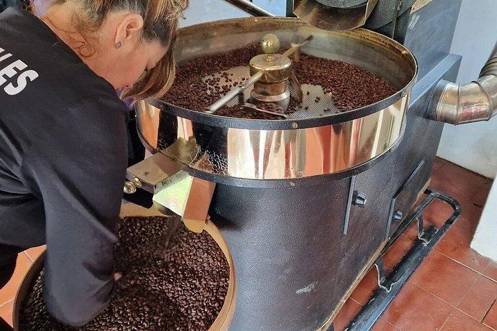 グラン・カナリア：アガエテコーヒー農園、ワイン試飲＆ガーデンツアー