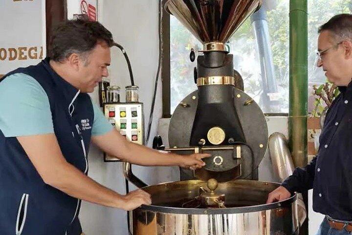 グラン・カナリア：アガエテコーヒー農園、ワイン試飲＆ガーデンツアー