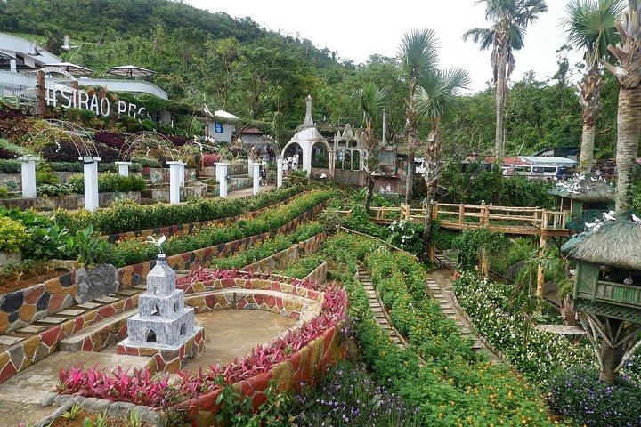 BEST OF CEBU : セブ市内遺産と登坂ツアー｜参加者