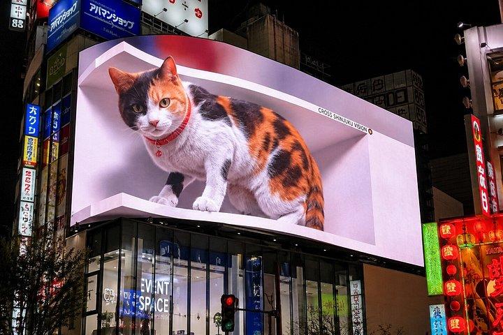 Tokyo : Visite à pied de Shinjuku et Shibuya avec repas inclus