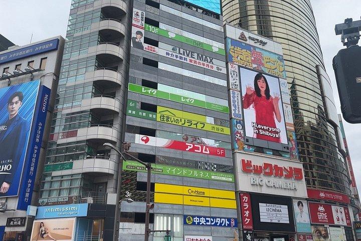 東京：新宿と渋谷のウォーキングツアー（食事付き）