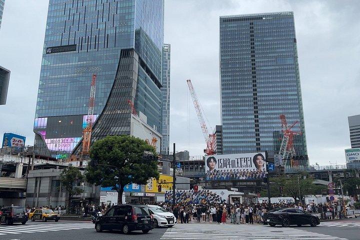 東京：新宿と渋谷のウォーキングツアー（食事付き）