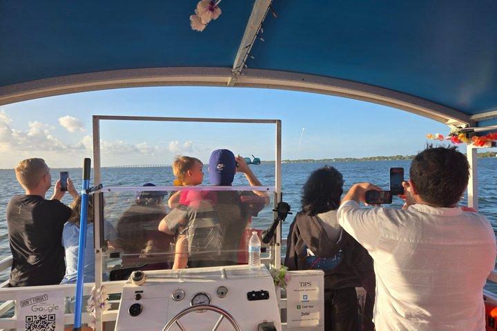 フロリダ州メルボルンの2時間のイルカ観光ツアー