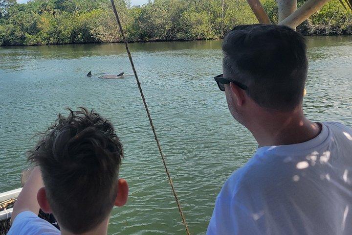 Cocoa Beach - Private 2hr Dolphin Sightseeing Tour