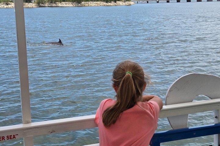 Cocoa Beach - Private 2hr Dolphin Sightseeing Tour
