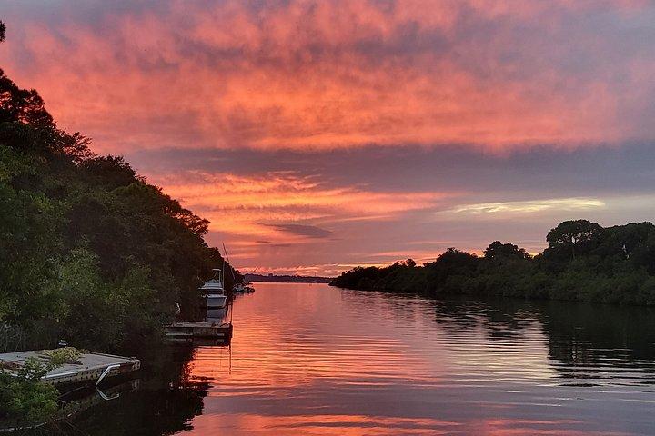 Cocoa Beach - Private 2hr Dolphin Sightseeing Tour