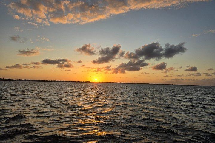 Cocoa Beach - Private 2hr Dolphin Sightseeing Tour