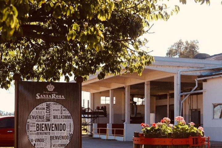 Weingut Montevideo Santa Rosa: Führung – Verkostung – Mittagessen