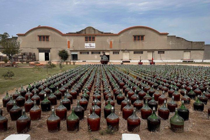 Weingut Montevideo Santa Rosa: Führung – Verkostung – Mittagessen