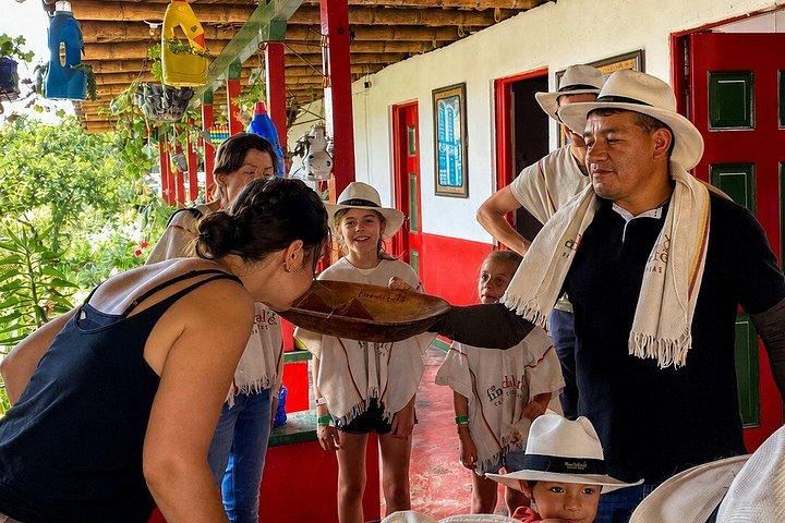 Kaffetur på Finca del Café