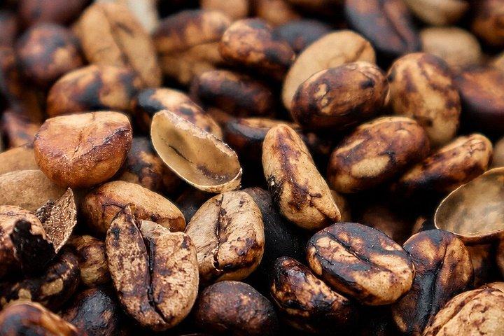 Kaffetur på Finca del Café