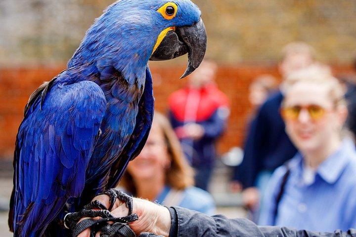 ロンドンっ子と行く本格ロンドン日曜市
