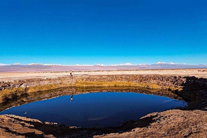 Tour alla Laguna Cejar e Tibenquinche