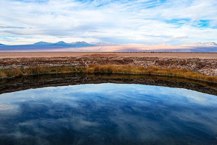 Tour alla Laguna Cejar e Tibenquinche