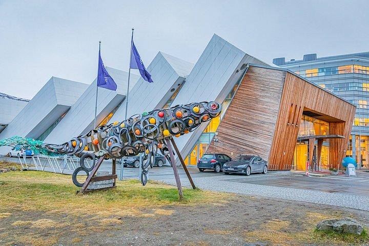 Tromsø Private City Highlights Tour