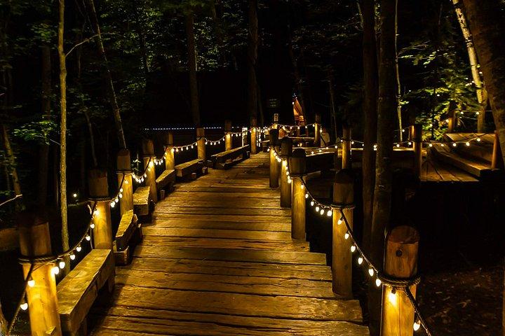 北海道牧場富田四季彩の丘の滝＆青い池日帰りツアー