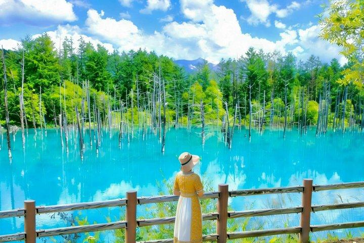 Asahiyama Zoo, Biei Blue Pond & Shirogane Falls Tour from Sapporo