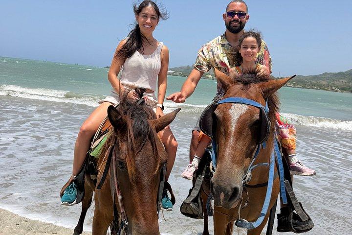 プエルトプラタの田園地帯とビーチでの乗馬アドベンチャー