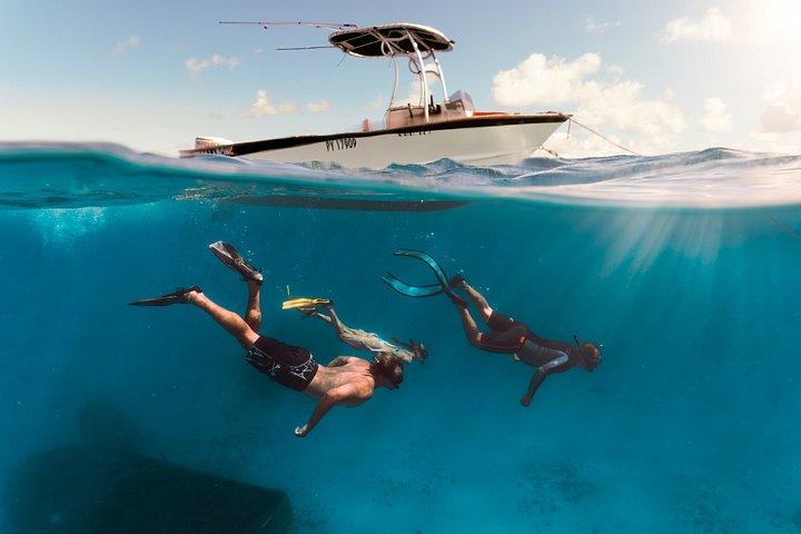 Private Fishing Adventures in Tahiti