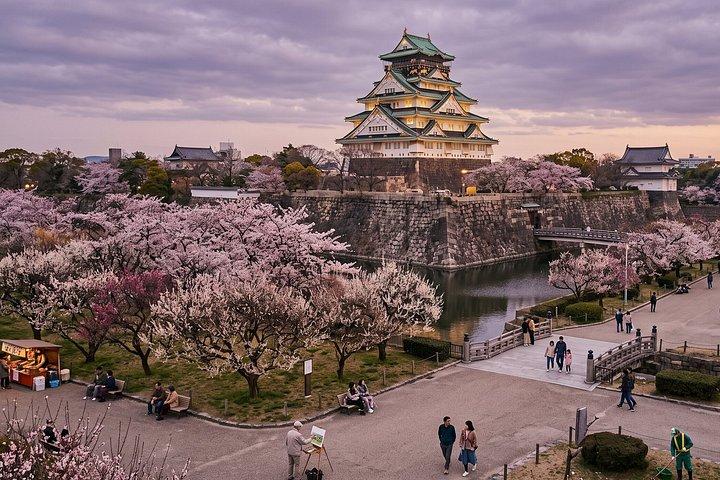 Private Customizable Cultural Walking Tour in Osaka Castle