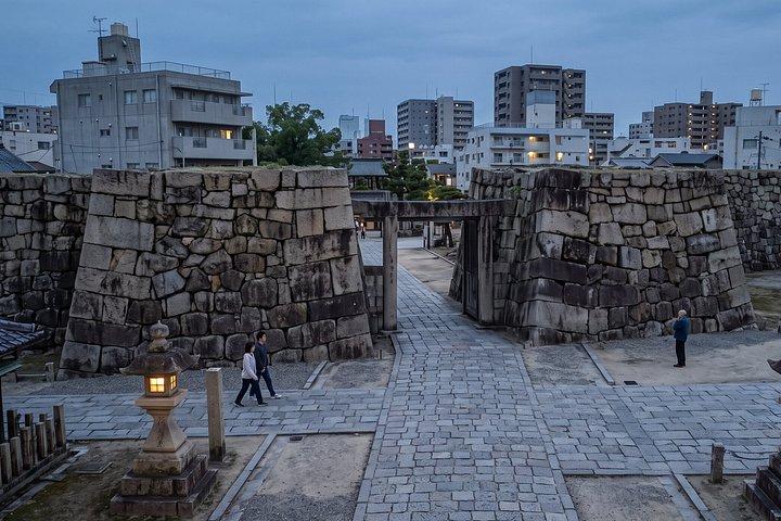 Private Customizable Cultural Walking Tour in Osaka Castle