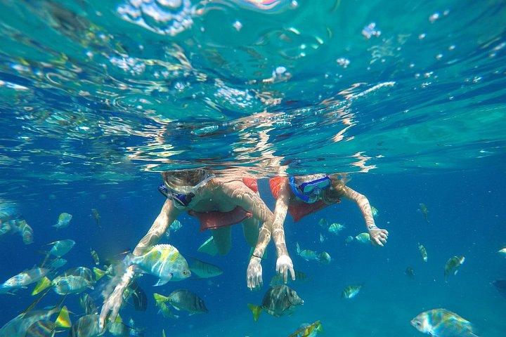 Balandra Bay and Hidden Beaches Catamaran Tour from Cabo