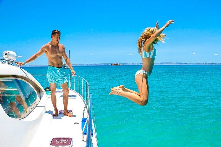 Balandra Bay and Hidden Beaches Catamaran Tour from Cabo