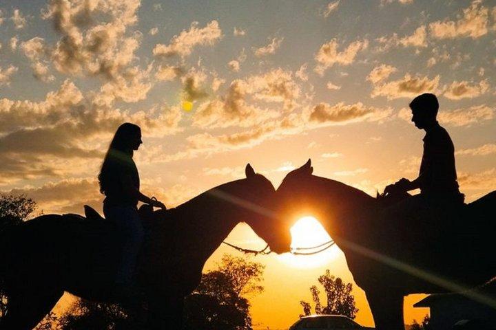 Billeder af Bali Horse Riding + Drone