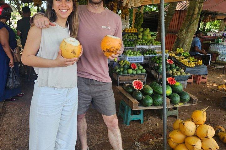 キャンディからMinneriya国立公園、Sigiriya＆Dambullaへの日帰りツアー