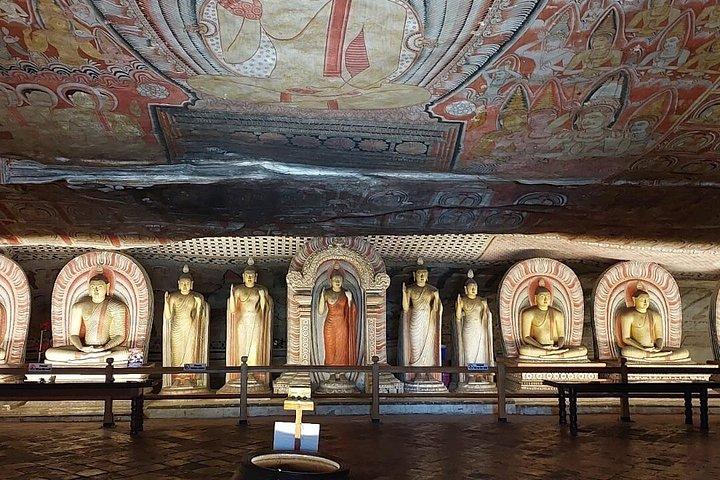 キャンディからMinneriya国立公園、Sigiriya＆Dambullaへの日帰りツアー