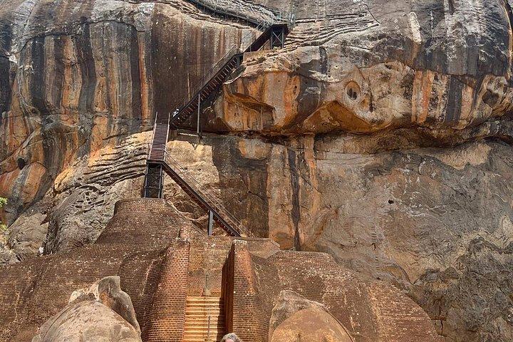 キャンディからMinneriya国立公園、Sigiriya＆Dambullaへの日帰りツアー