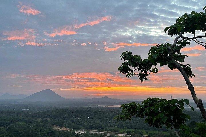 キャンディからMinneriya国立公園、Sigiriya＆Dambullaへの日帰りツアー